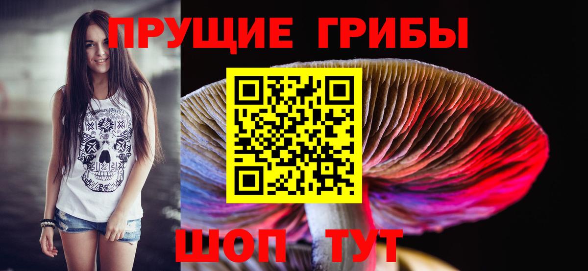 Галлюциногенные грибы MAGIC MUSHROOMS  Вход с VPN  Воткинск 
